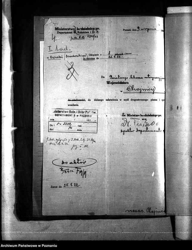 Obraz 8 z jednostki "Nosacizna - Chojnice"