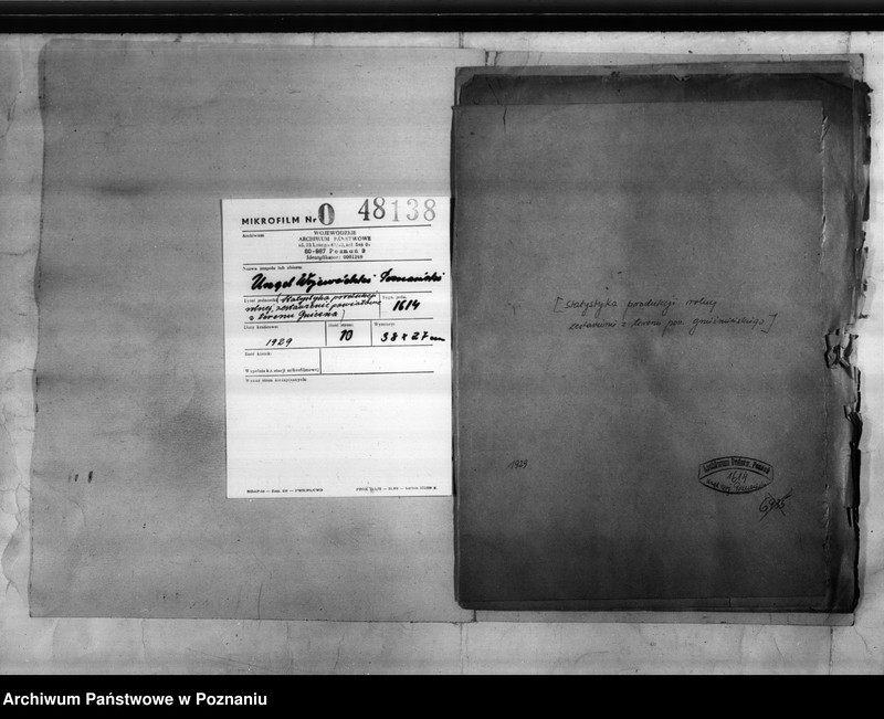 Obraz 2 z jednostki "/Statystyka produkcji rolnej - zestawienie powiatowe z terenu Gniezna/"