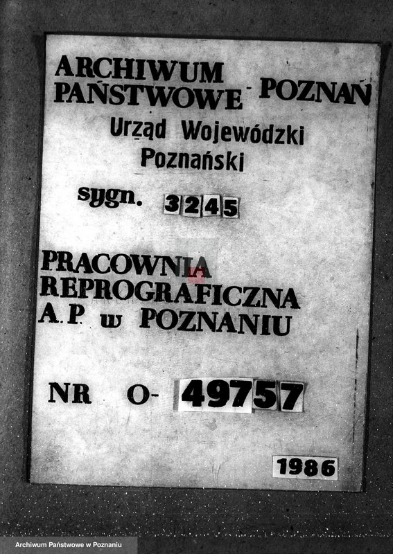 Obraz 1 z jednostki "Majętność leśna Dzięczyna w powiecie gostyńskim"