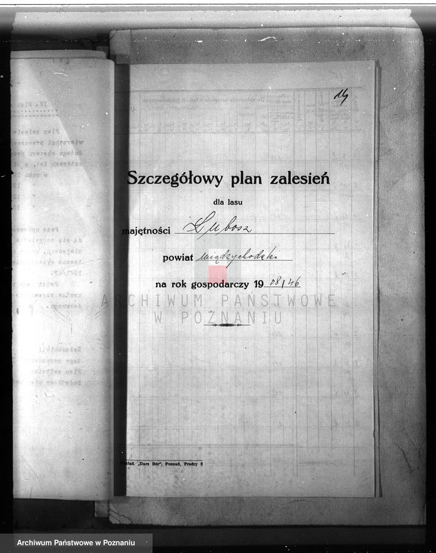 Obraz 16 z jednostki "Dodatkowy plan urządzania lasu dla lasu majątku Lubosz powiatu międzychodzkiego"