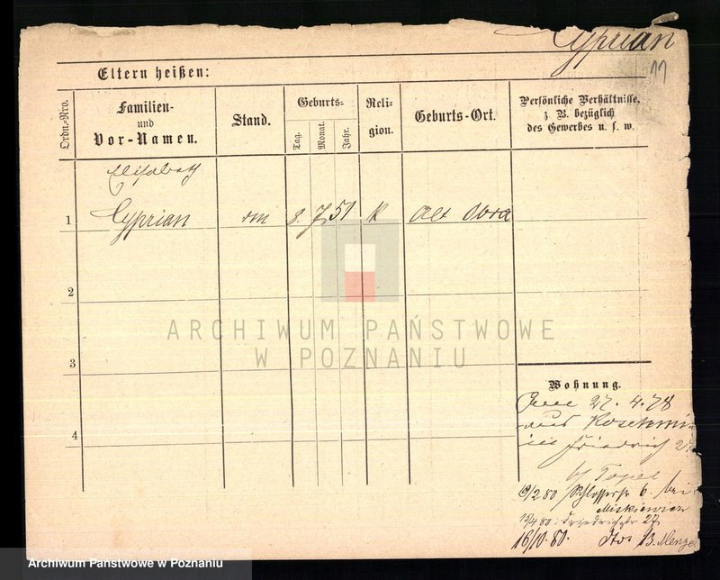 Obraz 13 z jednostki "Cypraniak - Czajka (żony i wdowy)"