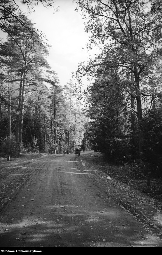 image.from.unit.number "Białowieża"
