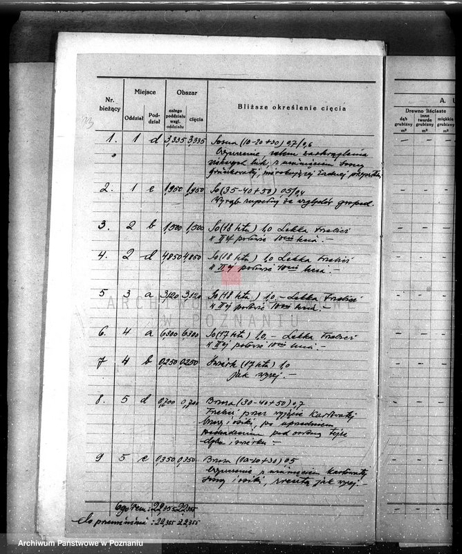 Obraz 17 z jednostki "/Nadzór nad gospodarką leśną gminy miasta Czarnkowa"