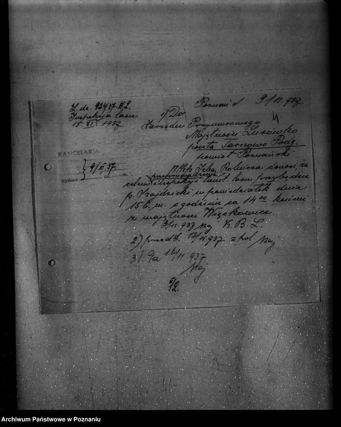 Obraz 8 z jednostki "Nadzór nad gospodarką w lasach majętności Lusówko powiatu poznańskiego"