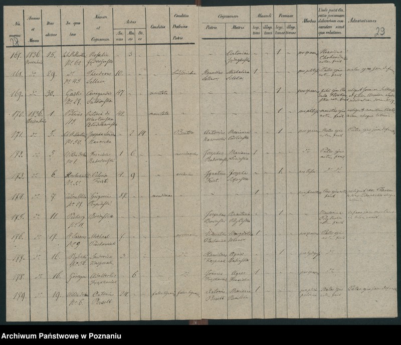 Obraz 17 z jednostki "Księga zgonów"