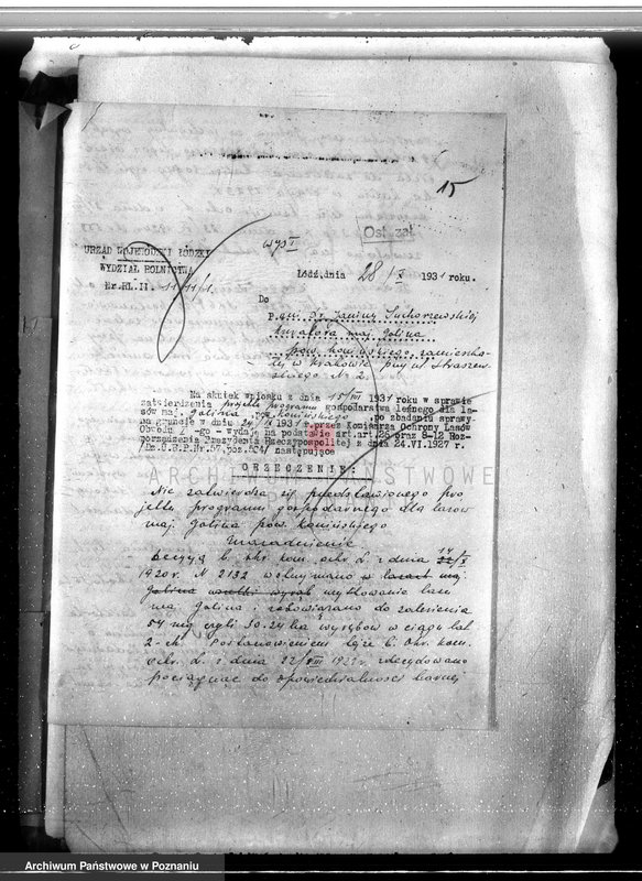 Obraz 19 z jednostki "Majątek Goliński powiat koniński /nadzór nad gospodarką leśna/"