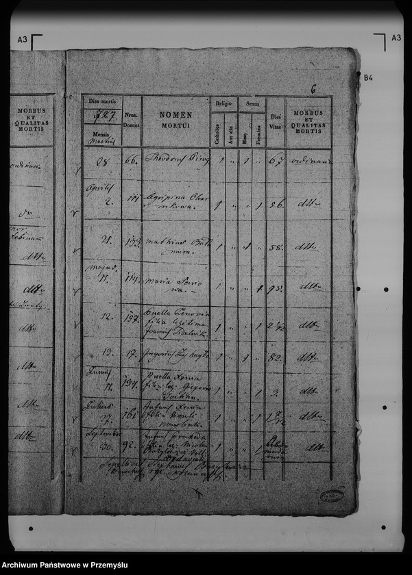 Obraz 11 z jednostki "[Kopie ksiąg metrykalnych parafii Wólka Mazowiecka (dekanat Rawa Ruska)]"