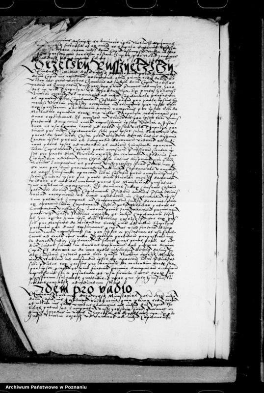 Obraz 14 z jednostki "Inscriptiones, relationes, decreta [inducta]"