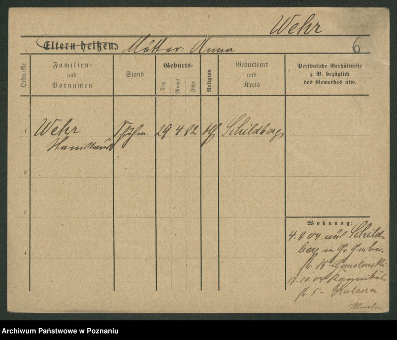 Obraz 16 z jednostki "Wer - Werner (żonaci i wdowy)"