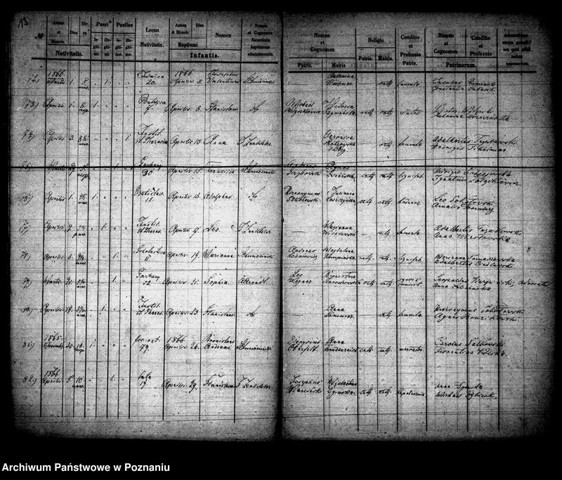 Obraz 8 z jednostki "Księga urodzin"