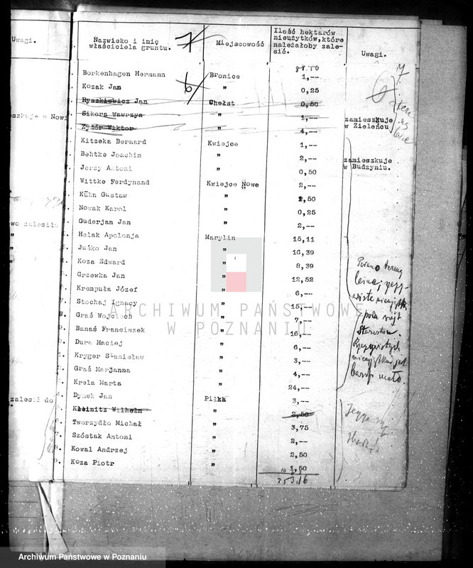 Obraz 11 z jednostki "Zalesianie nieużytków w powiecie czarnkowskim"