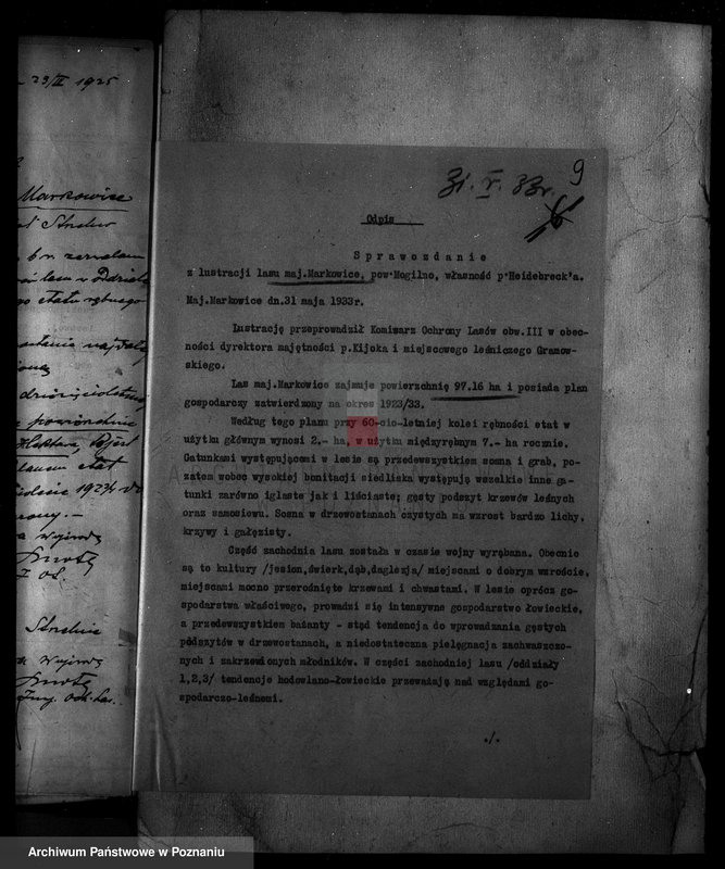 Obraz 14 z jednostki "Nadzór nad gospodarką w lasach majętności Markowice powiat mogileński"