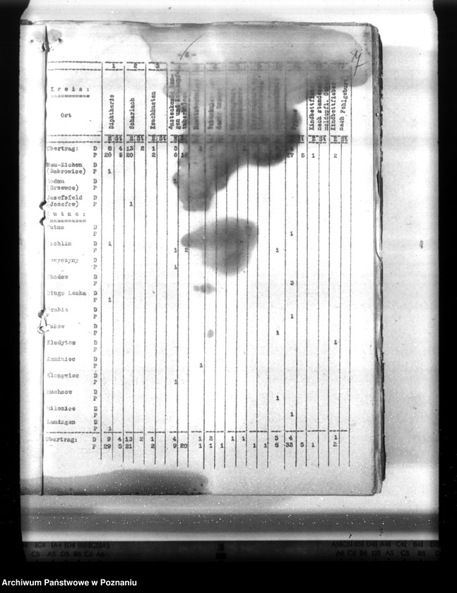 Obraz 12 z jednostki "Statistik der Krankheiten im Wartheland"