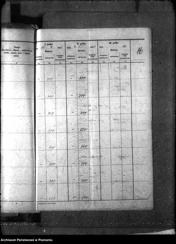 Obraz 20 z jednostki "Nosacizna - Czarnków"