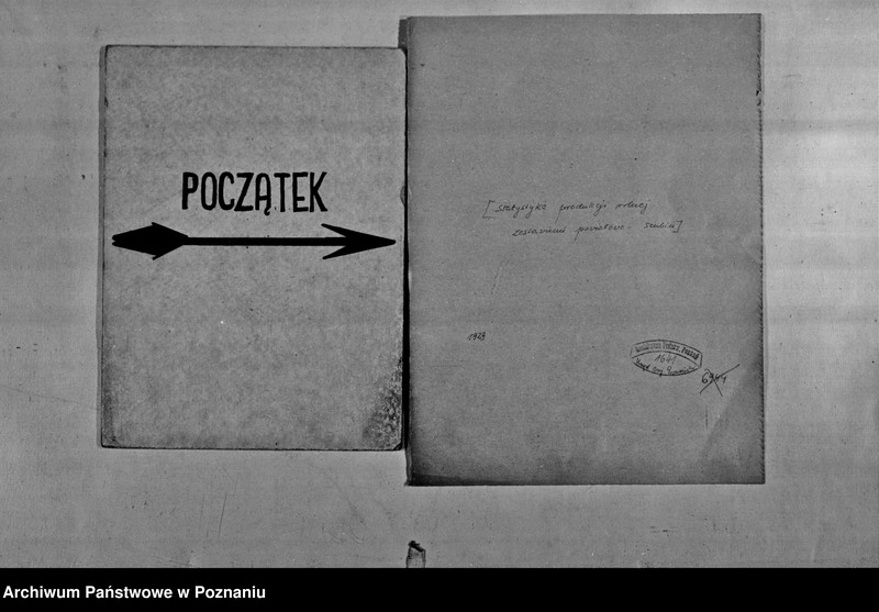 Obraz 2 z jednostki "/Statystyka produkcji rolnej - zestawienie powiatowe - Szubin"