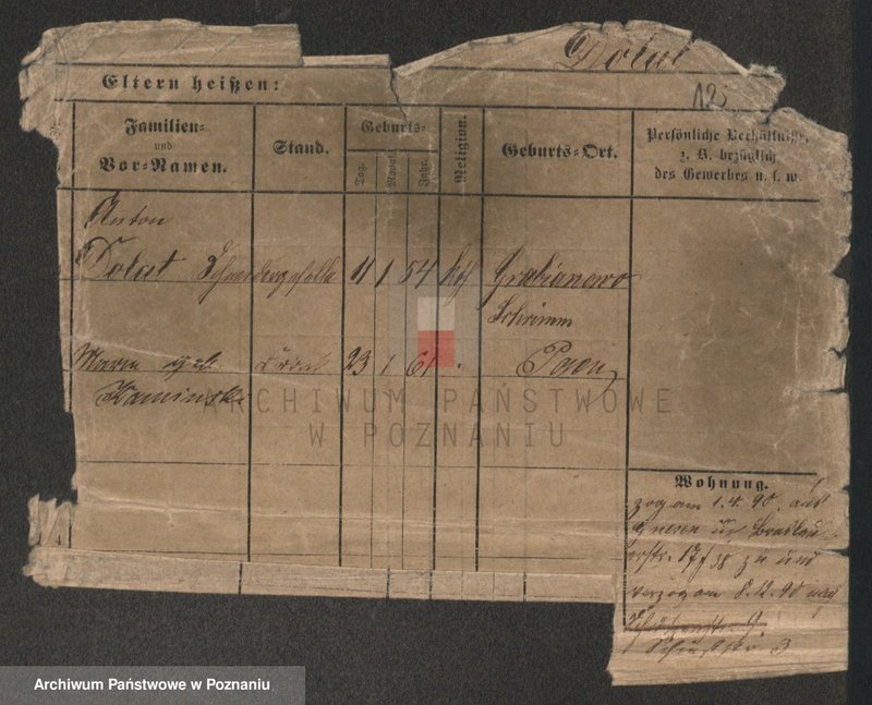 Obraz 14 z jednostki "Dolata - Dolt"