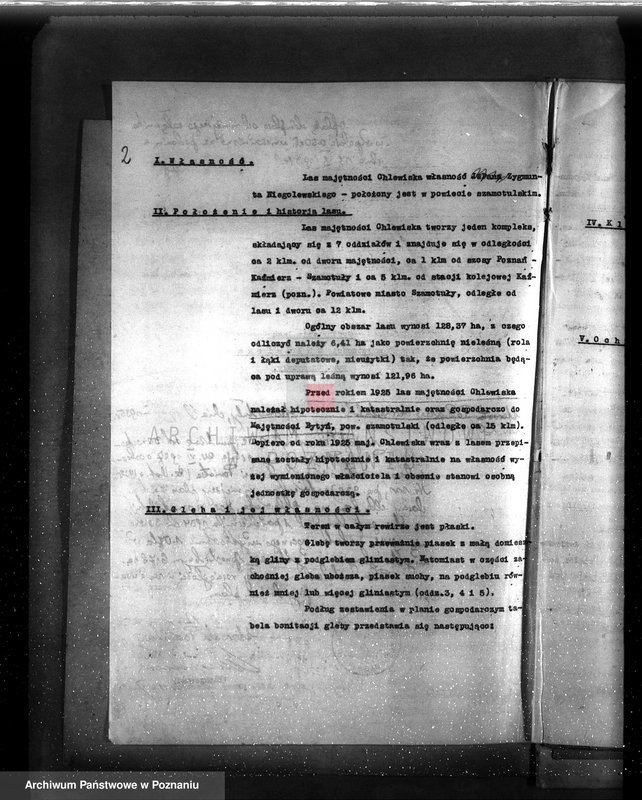 Obraz 6 z jednostki "Plan urządzenia gospodarstwa leśnego majątku Chlewiska w powiecie szamotulskim"