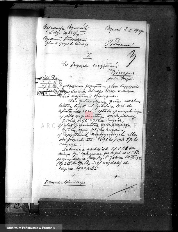 Obraz 7 z jednostki "Majętność leśna Dzięczyna w powiecie gostyńskim"