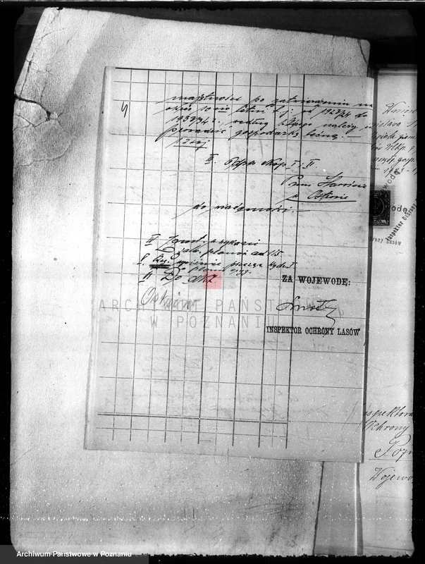 image.from.unit.number "Nadzór nad gospodarką w lasach majętności Kwiatków powiat ostrowski"