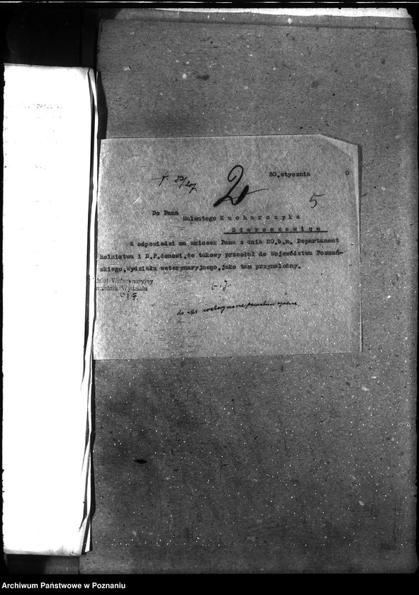 Obraz 9 z jednostki "Powiatowi lekarze weterynaryjni"