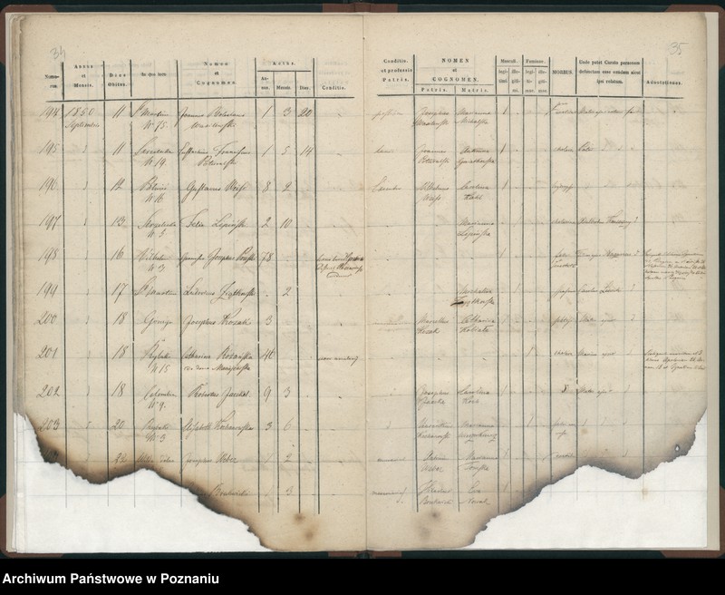 Obraz 20 z jednostki "Księga zgonów"