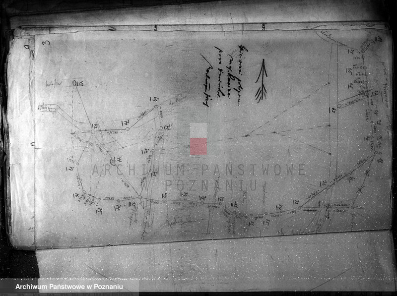 Obraz 7 z jednostki "Mapy majątku Rusiec w powiecie żnińskim"