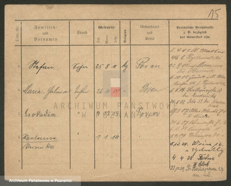 Obraz 15 z jednostki "Paprzycki - Pasiak"