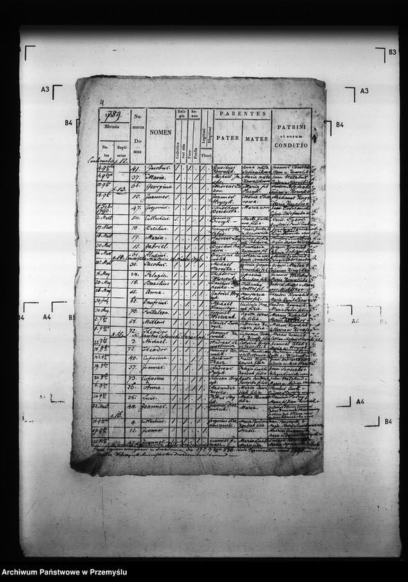 Obraz 8 z jednostki "[Kopie ksiąg metrykalnych parafii Drozdowice z filiami Stroniowice, Wielunice (dekanat Niżankowice)]"