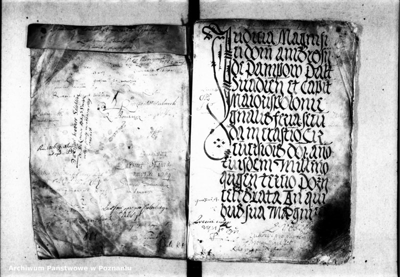 Obraz 4 z jednostki "Inscriptiones, relationes, decreta [inducta]"