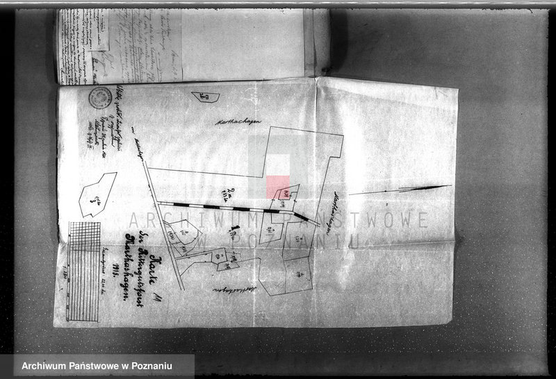 Obraz 16 z jednostki "Drzewostan na majątku państwowym Chwałkowo powiat średzki"