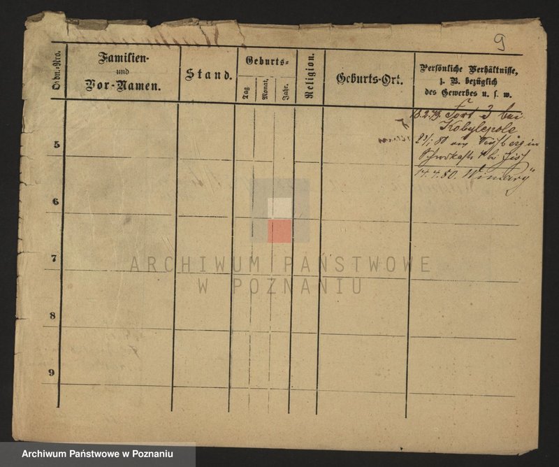 Obraz 11 z jednostki "Maćkowiak (samotni mężczyźni i kobiety)"