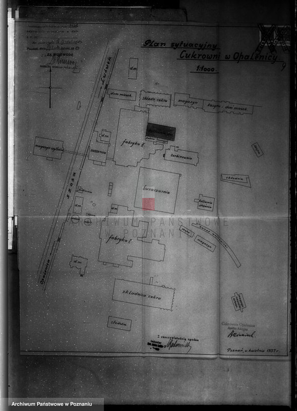Obraz 14 z jednostki "Cukrownia Opalenica Spółka Akcyjna, nr woj. 1597"