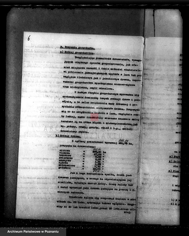 Obraz 10 z jednostki "Plan urządzania gospodarstwa leśnego dla lasu majętności Bonikowo - powiat kościański"