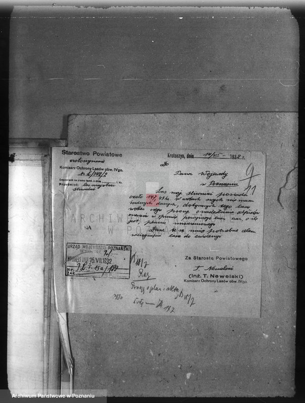 Obraz 15 z jednostki "Nadzór nad gospodarką w lasach majętności Śliwniki powiat ostrowski"