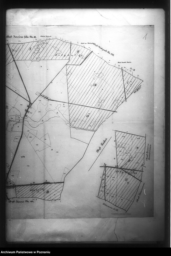 Obraz 6 z jednostki "/Mapy majętności Kotomierz powiatu bydgoskiego/"