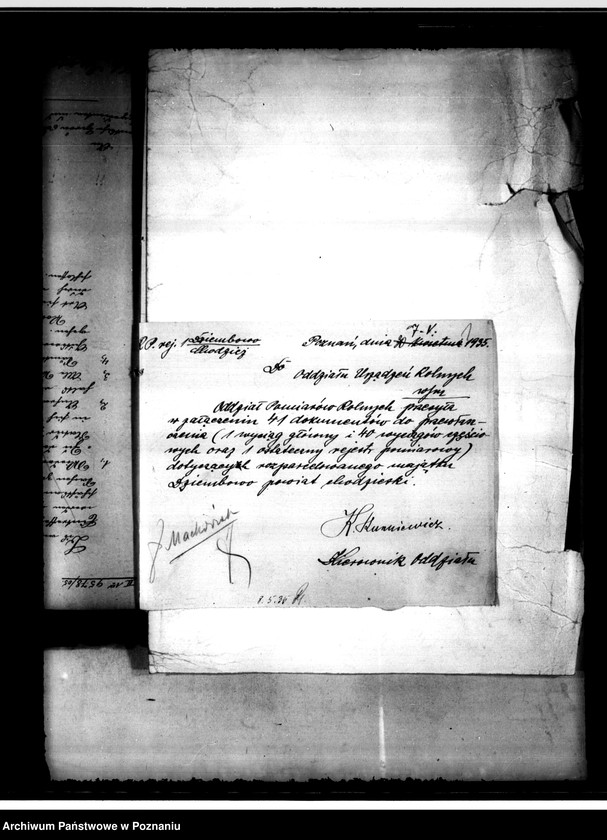 Obraz 4 z jednostki "Przewłaszczenie majątku Dziembowo, Byszki powiat chodzieski"