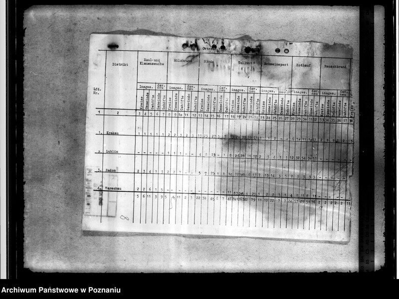 Obraz 12 z jednostki "Tierseuchenstand im Generalgouvernement"