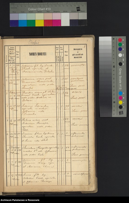 image.from.unit "Księga zgonów - Trzeboś, cz. I"