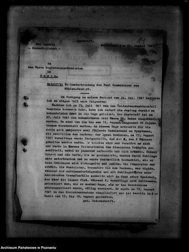 Obraz 18 z jednostki "Tollwut"