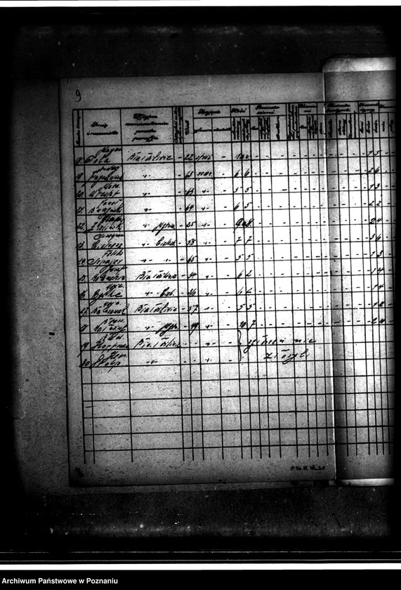 Obraz 13 z jednostki "Wykaz zgłoszeń na nabycie ziemi z parcelacji majątku Białośliwie"