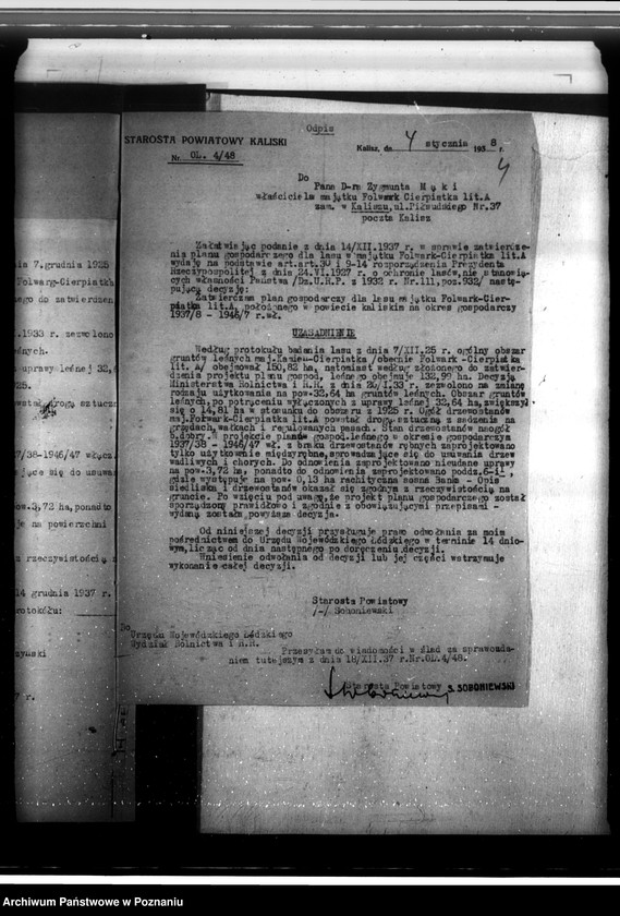 Obraz 8 z jednostki "Lasy majątku Cierpiatki w powiecie kaliskim"