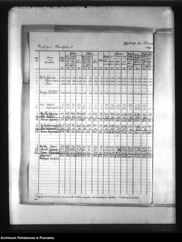 Obraz 5 z jednostki "Statystyka użytków rolnych w Kraju Warty"
