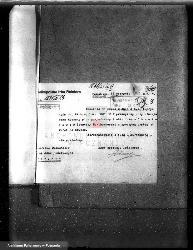 Obraz 14 z jednostki "Drzewostan na majątku państwowym Chwałkowo powiat średzki"