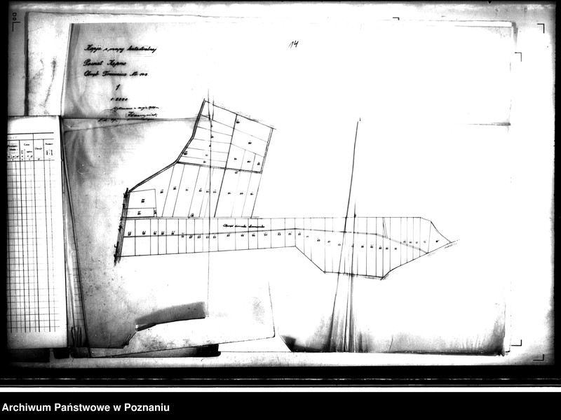 Obraz 20 z jednostki "Ostateczny plan dzielczy i nowy kataster majątku Trzcinica powiatu kępińskiego parcelacja prywatna"