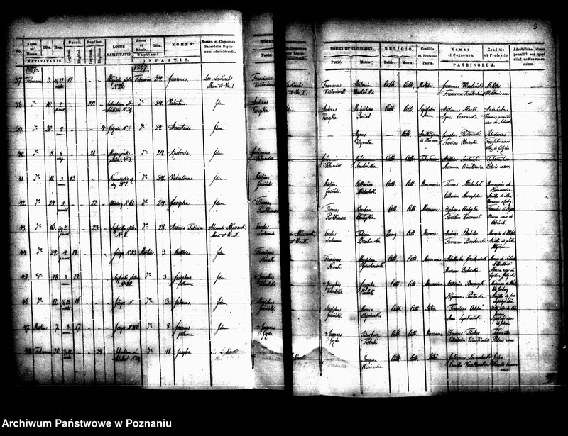 Obraz 7 z jednostki "Księga urodzin"