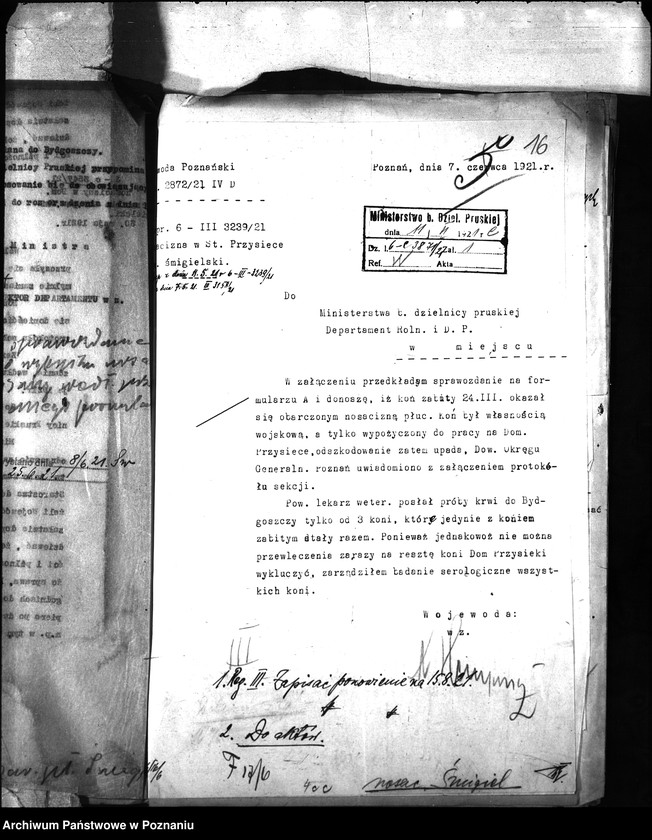 Obraz 20 z jednostki "Nosacizna - Śmigiel"