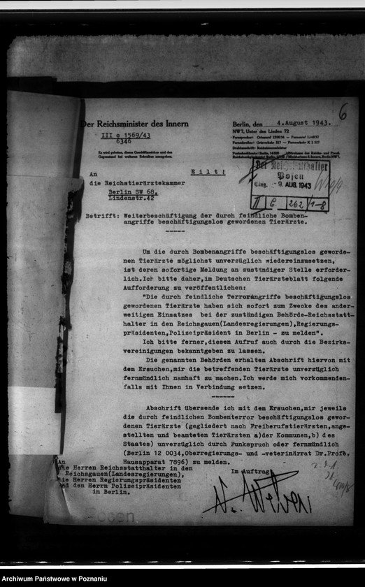 Obraz 10 z jednostki "Einsatz der Tierärzte"