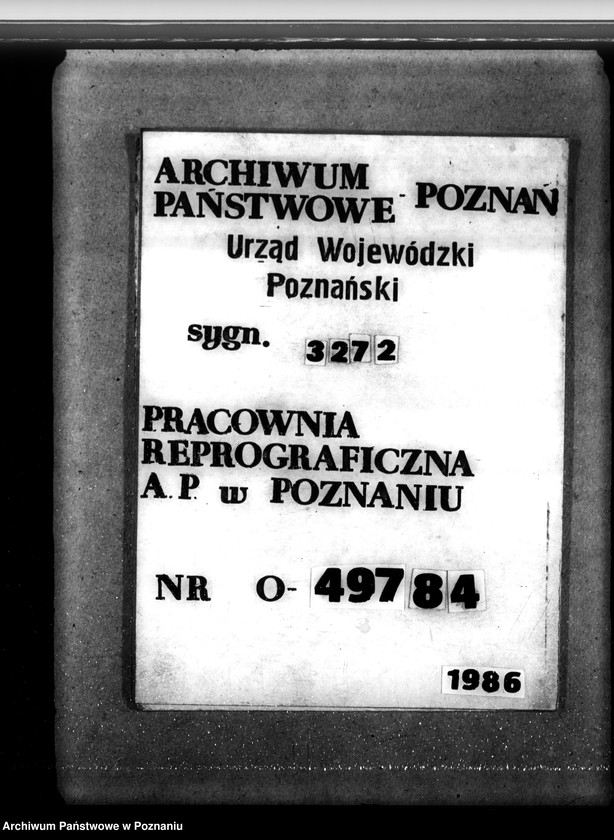 Obraz 1 z jednostki "Las majątku Strzelce-Wielkie w powiecie gostyńskim"