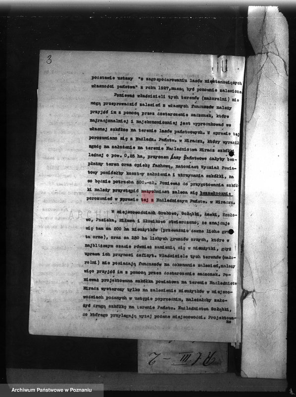 Obraz 7 z jednostki "Zalesienie nieużytków w powiecie mogileńskim"