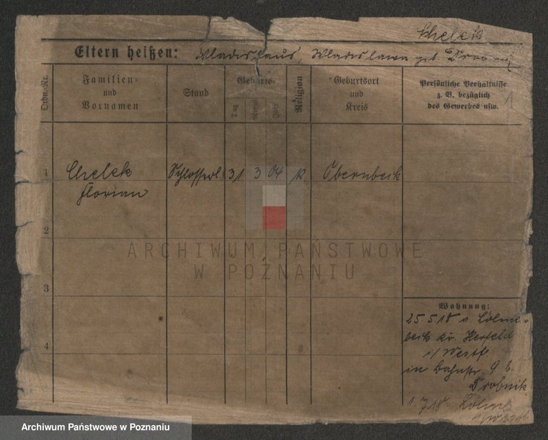 Obraz 3 z jednostki "Chelek - Chmella"